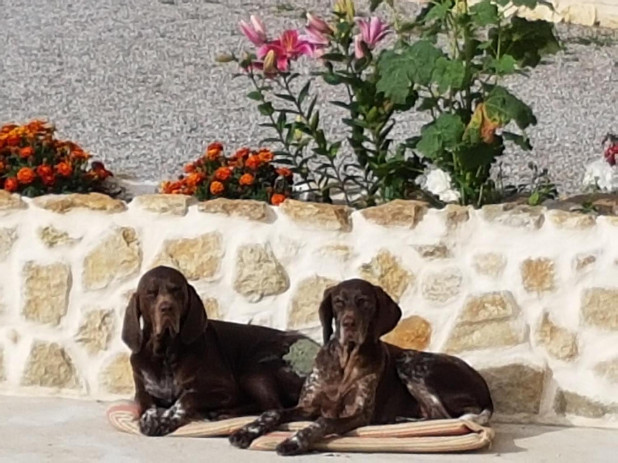 Le Clos De Tournes Echinghen ภายนอก รูปภาพ