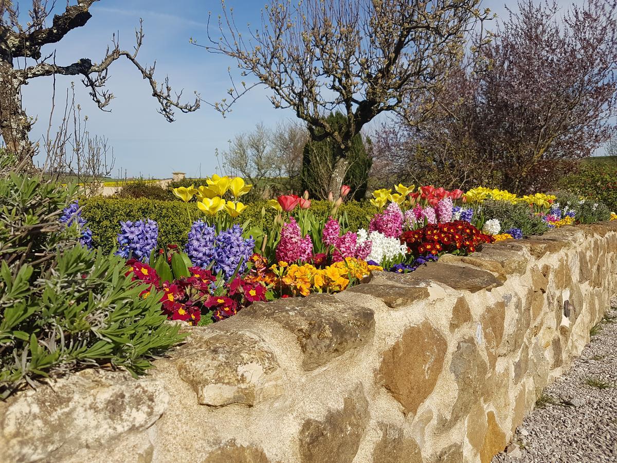 Le Clos De Tournes Echinghen ภายนอก รูปภาพ